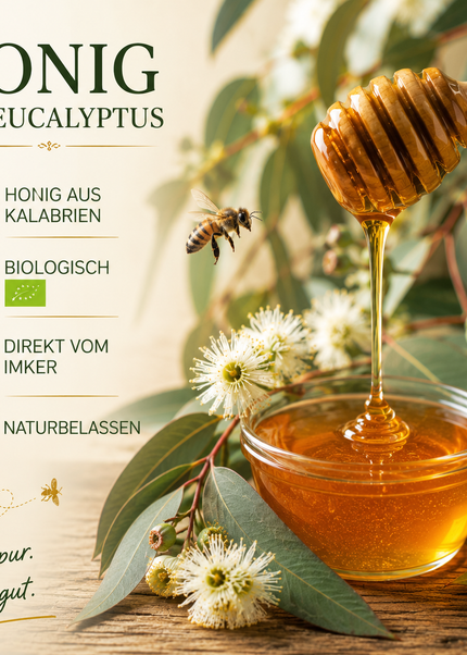 Bio Eukalyptus Honig aus Kalabrien 500g