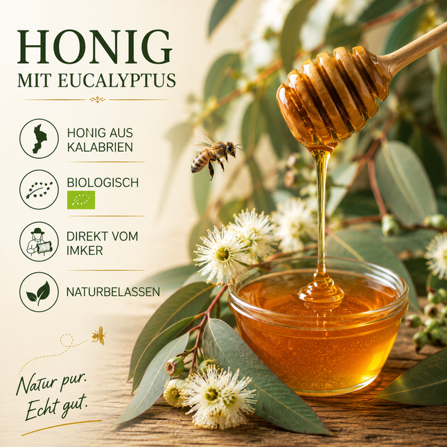 Bio Eukalyptus Honig aus Kalabrien 500g